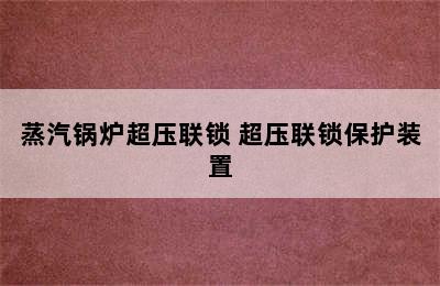 蒸汽锅炉超压联锁 超压联锁保护装置